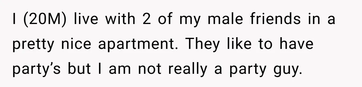 I (20M) live with 2 of my male friends in a pretty nice apartment. They like to have party’s but I am not really a party guy.