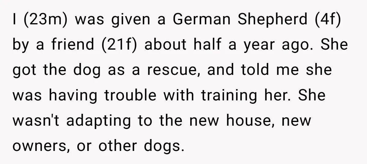 I (23m) was given a German Shepherd (4f) by a friend (21f) about half a year ago. She got the dog as a rescue, and told me she was having...