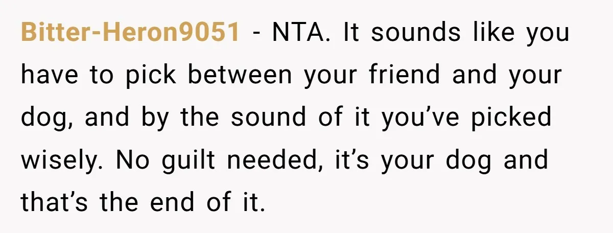 Bitter-Heron9051 − NTA. It sounds like you have to pick between your friend and your dog, and by the sound of it you’ve picked wisely. No guilt needed, it’s your...