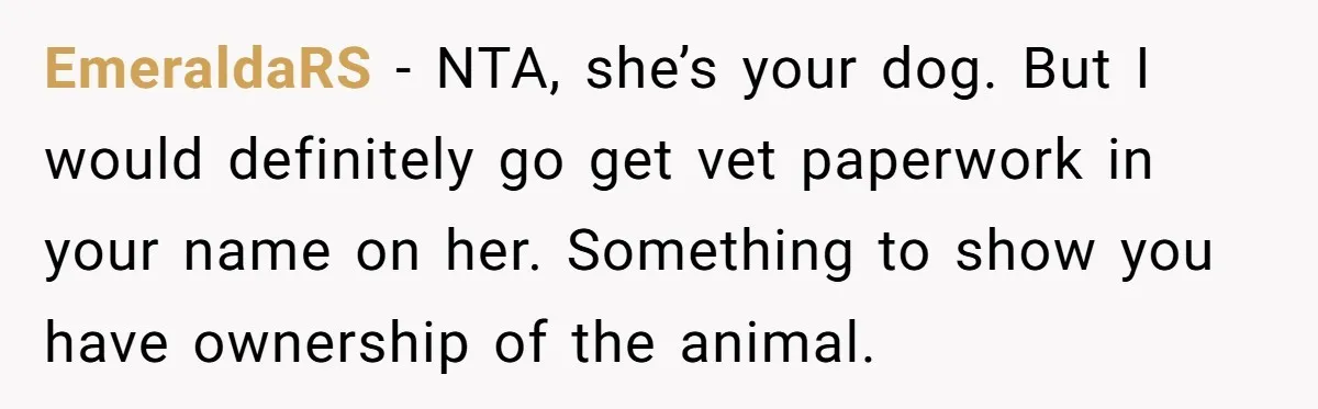 EmeraldaRS − NTA, she’s your dog. But I would definitely go get vet paperwork in your name on her. Something to show you have ownership of the animal.