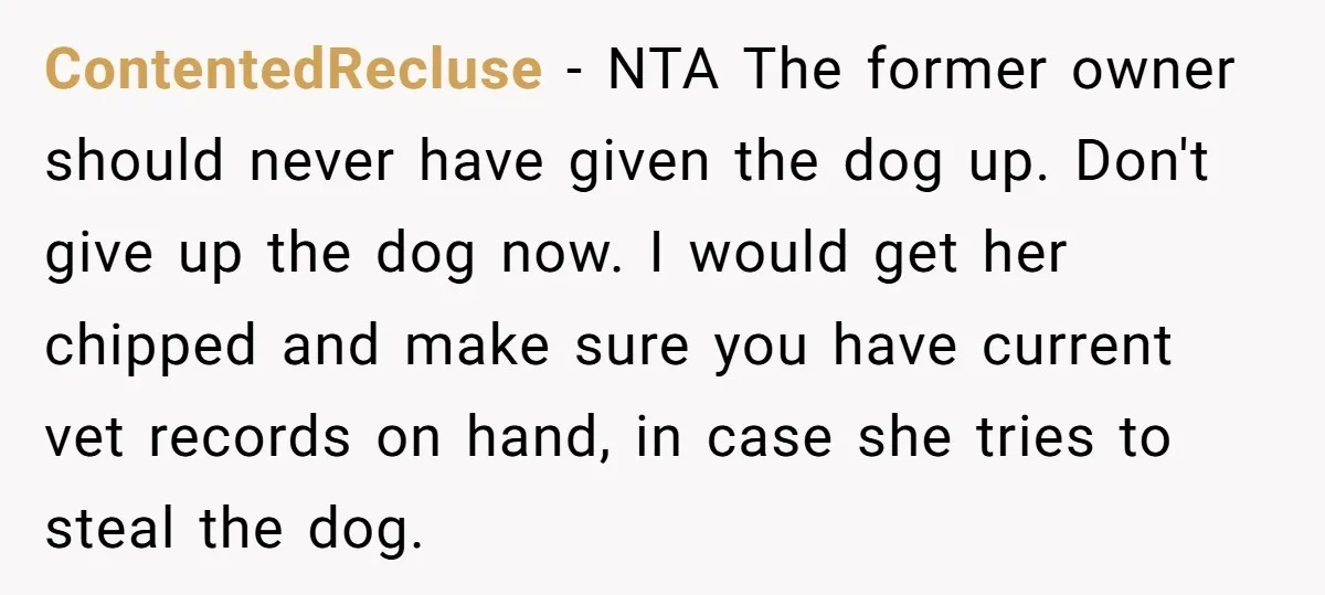 ContentedRecluse − NTA The former owner should never have given the dog up. Don't give up the dog now. I would get her chipped and make sure you have current...