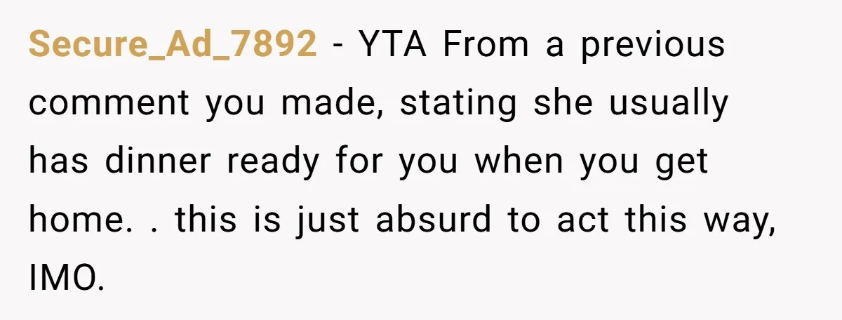 Secure_Ad_7892 - YTA From a previous comment you made, stating she usually has dinner ready for you when you get home. . this is just absurd to act this way,...