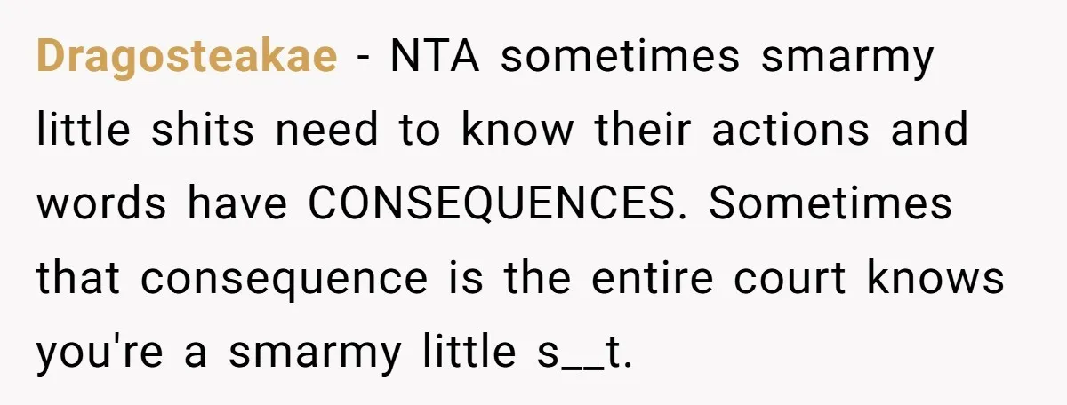 Dragosteakae − NTA sometimes smarmy little shits need to know their actions and words have CONSEQUENCES. Sometimes that consequence is the entire court knows you're a smarmy little s__t.