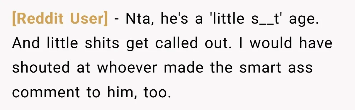 [Reddit User] − Nta, he's a 'little s__t' age. And little shits get called out. I would have shouted at whoever made the smart ass comment to him, too.