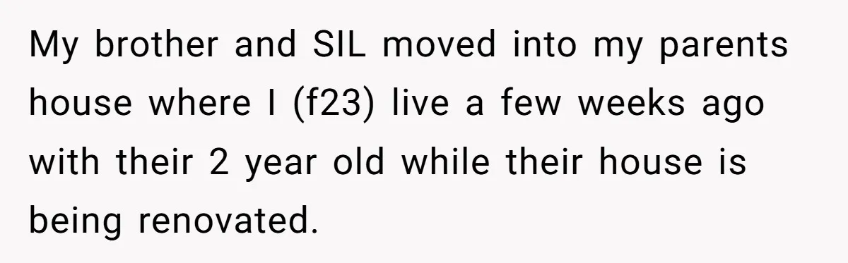 My brother and SIL moved into my parents house where I (f23) live a few weeks ago with their 2 year old while their house is being renovated.