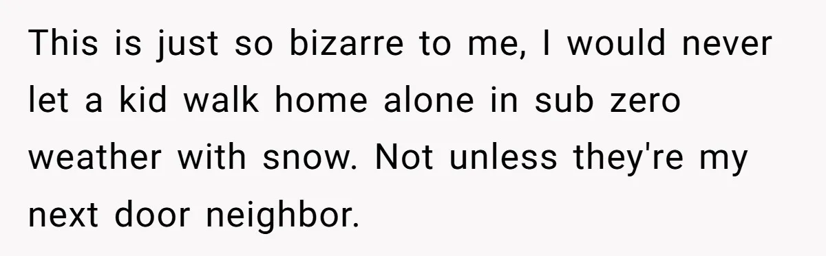 This is just so bizarre to me, I would never let a kid walk home alone in sub zero weather with snow. Not unless they're my next door neighbor.