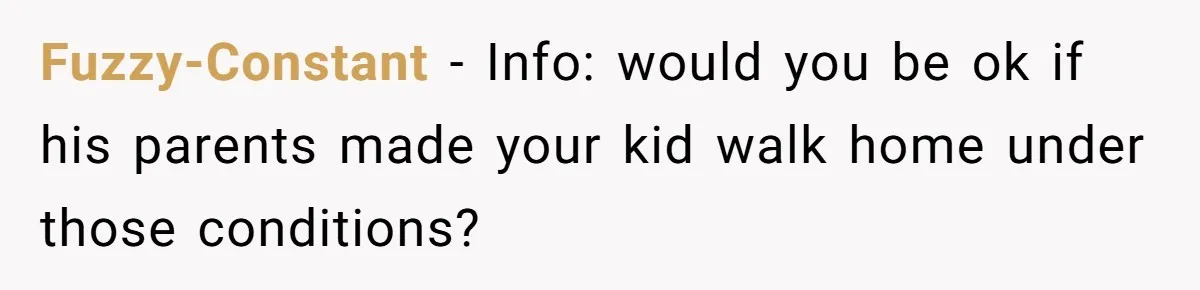 Fuzzy-Constant − Info: would you be ok if his parents made your kid walk home under those conditions?