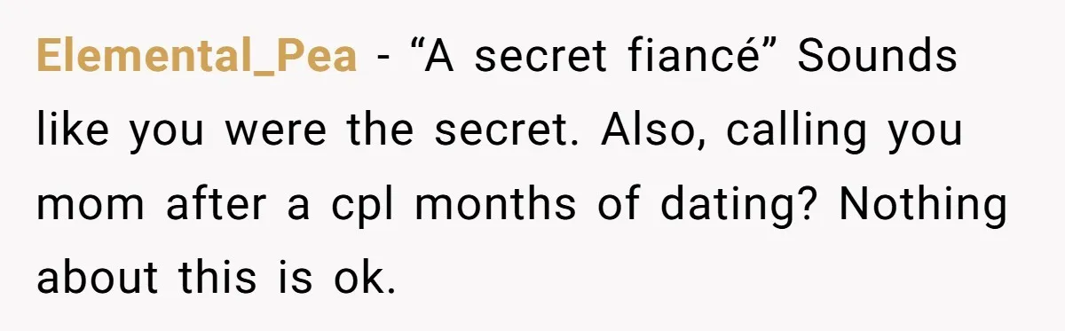Elemental_Pea − “A secret fiancé” Sounds like you were the secret. Also, calling you mom after a cpl months of dating? Nothing about this is ok.