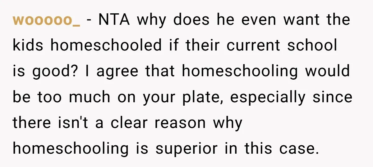 wooooo_ − NTA why does he even want the kids homeschooled if their current school is good? I agree that homeschooling would be too much on your plate, especially since...