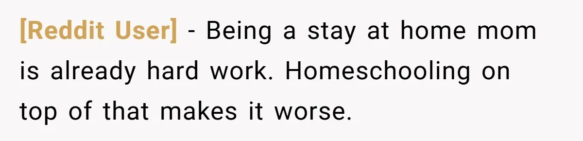 [Reddit User] − Being a stay at home mom is already hard work. Homeschooling on top of that makes it worse.