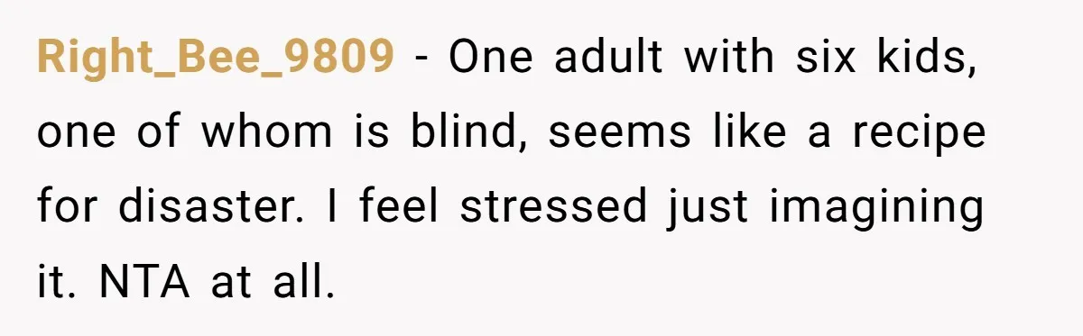 Right_Bee_9809 − One adult with six kids, one of whom is blind, seems like a recipe for disaster. I feel stressed just imagining it. NTA at all.
