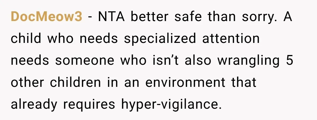 DocMeow3 − NTA better safe than sorry. A child who needs specialized attention needs someone who isn’t also wrangling 5 other children in an environment that already requires hyper-vigilance.