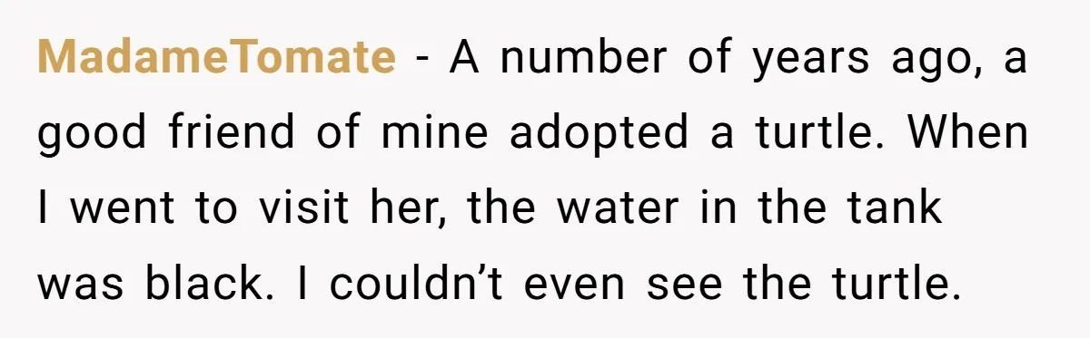 MadameTomate − A number of years ago, a good friend of mine adopted a turtle. When I went to visit her, the water in the tank was black. I couldn’t...