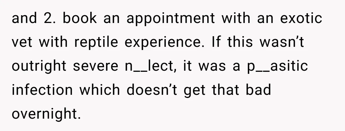 and 2. book an appointment with an exotic vet with reptile experience. If this wasn’t outright severe n__lect, it was a p__asitic infection which doesn’t get that bad overnight.