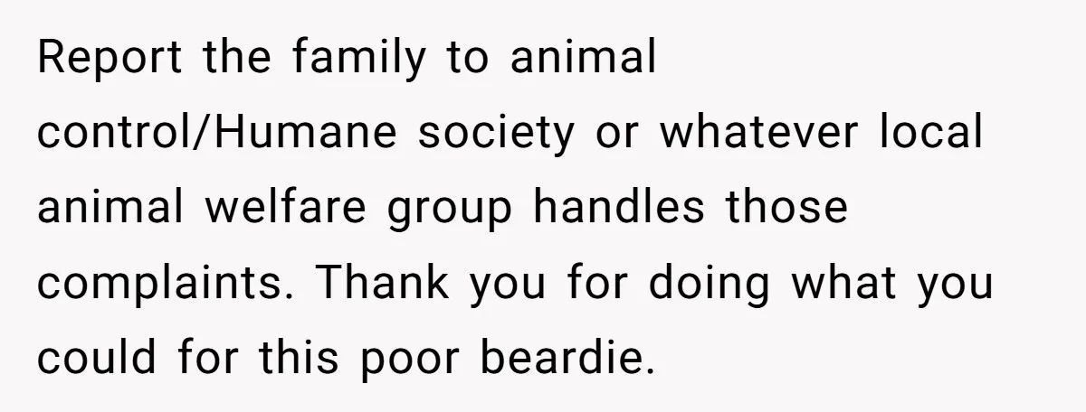 Report the family to animal control/Humane society or whatever local animal welfare group handles those complaints. Thank you for doing what you could for this poor beardie.