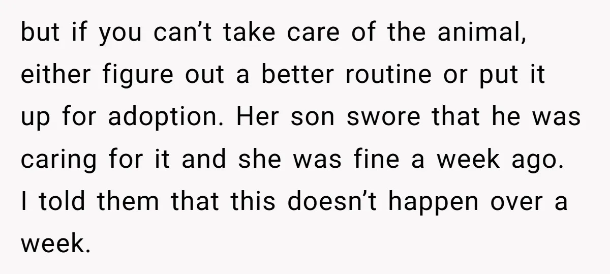 but if you can’t take care of the animal, either figure out a better routine or put it up for adoption. Her son swore that he was caring for it...