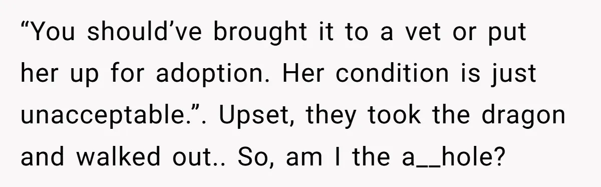 “You should’ve brought it to a vet or put her up for adoption. Her condition is just unacceptable.”. Upset, they took the dragon and walked out.. So, am I the...