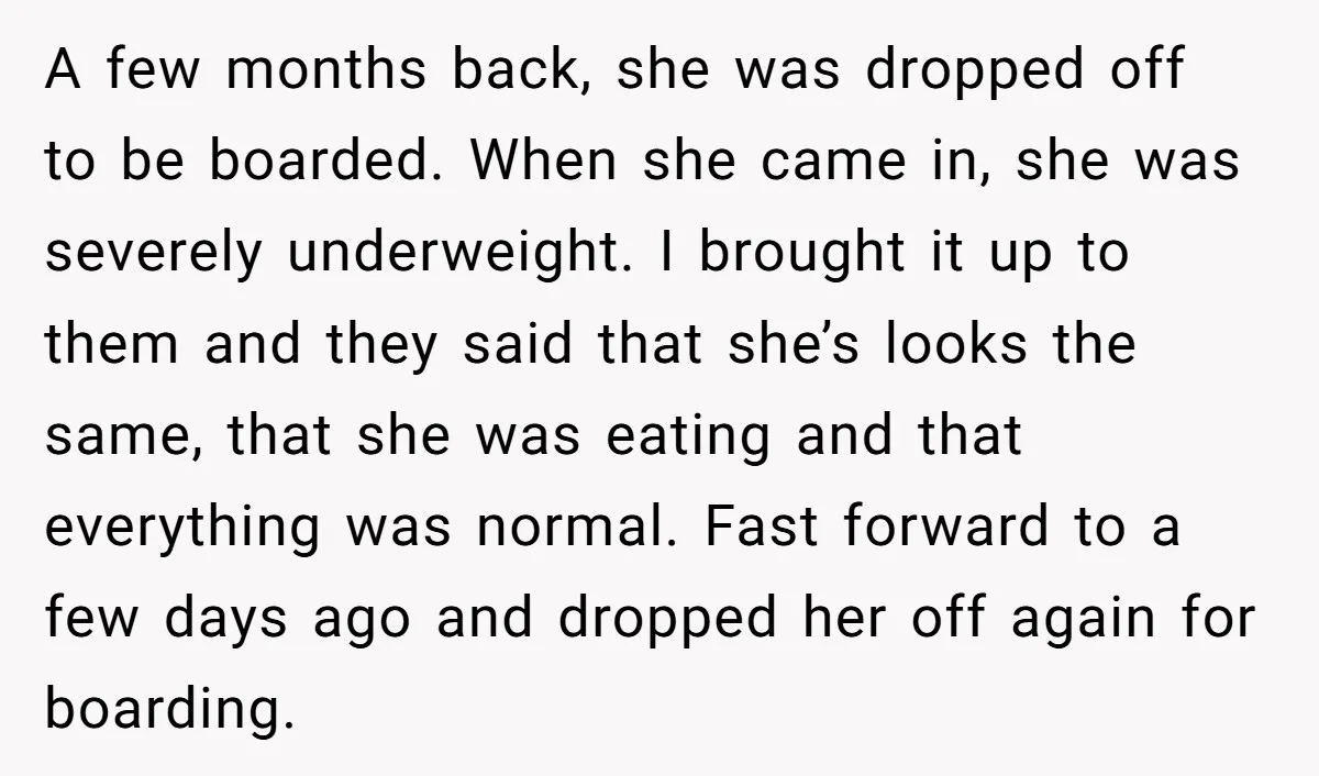 A few months back, she was dropped off to be boarded. When she came in, she was severely underweight. I brought it up to them and they said that she’s...