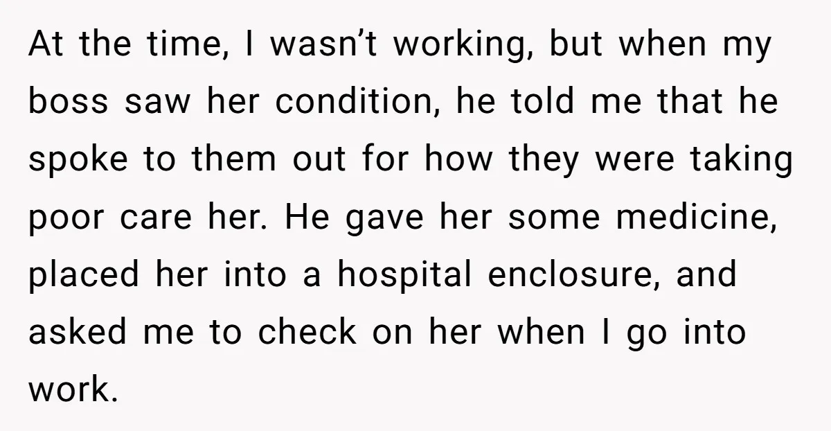 At the time, I wasn’t working, but when my boss saw her condition, he told me that he spoke to them out for how they were taking poor care her....