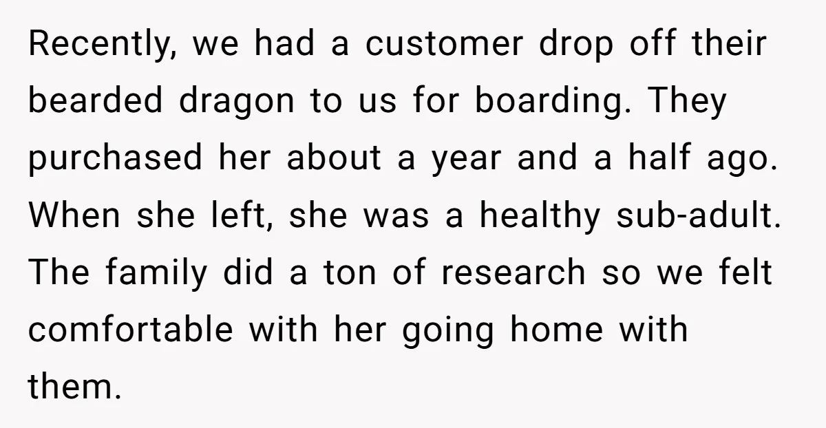 Recently, we had a customer drop off their bearded dragon to us for boarding. They purchased her about a year and a half ago. When she left, she was a...