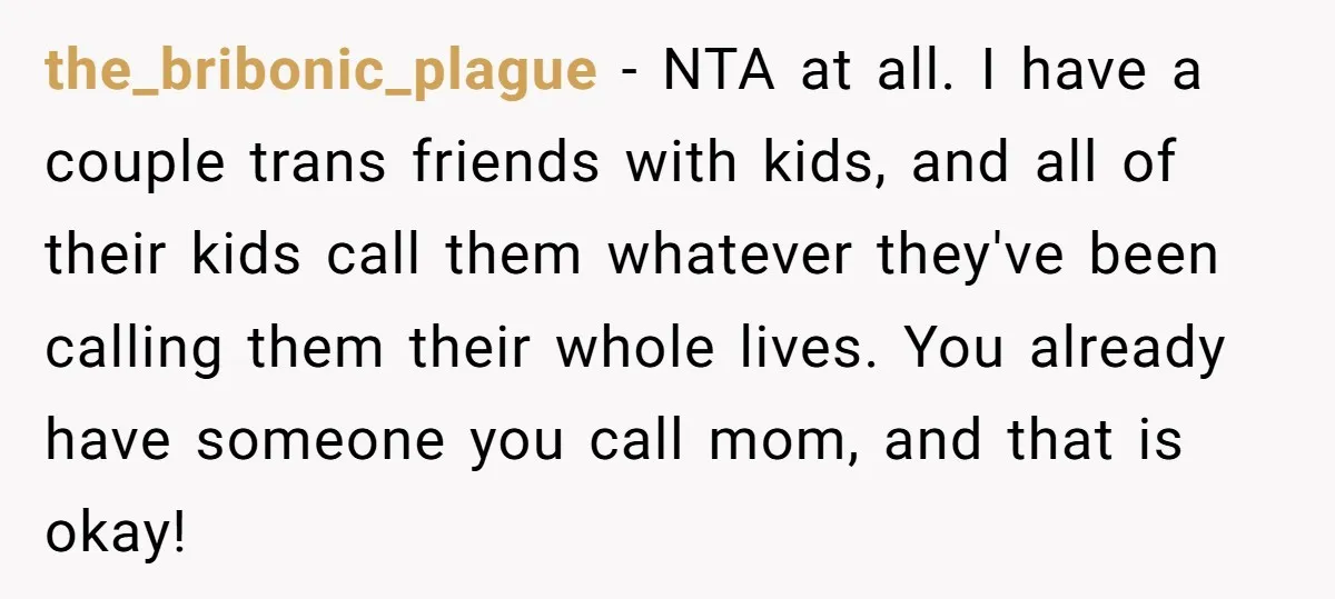 the_bribonic_plague − NTA at all. I have a couple trans friends with kids, and all of their kids call them whatever they've been calling them their whole lives. You already...