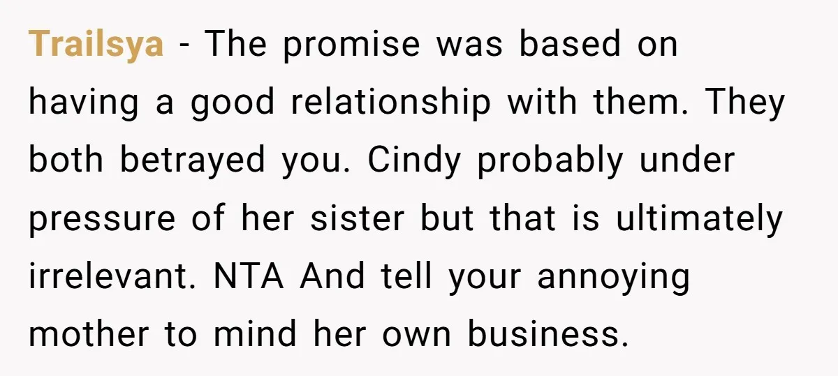 Trailsya − The promise was based on having a good relationship with them. They both betrayed you. Cindy probably under pressure of her sister but that is ultimately irrelevant. NTA...