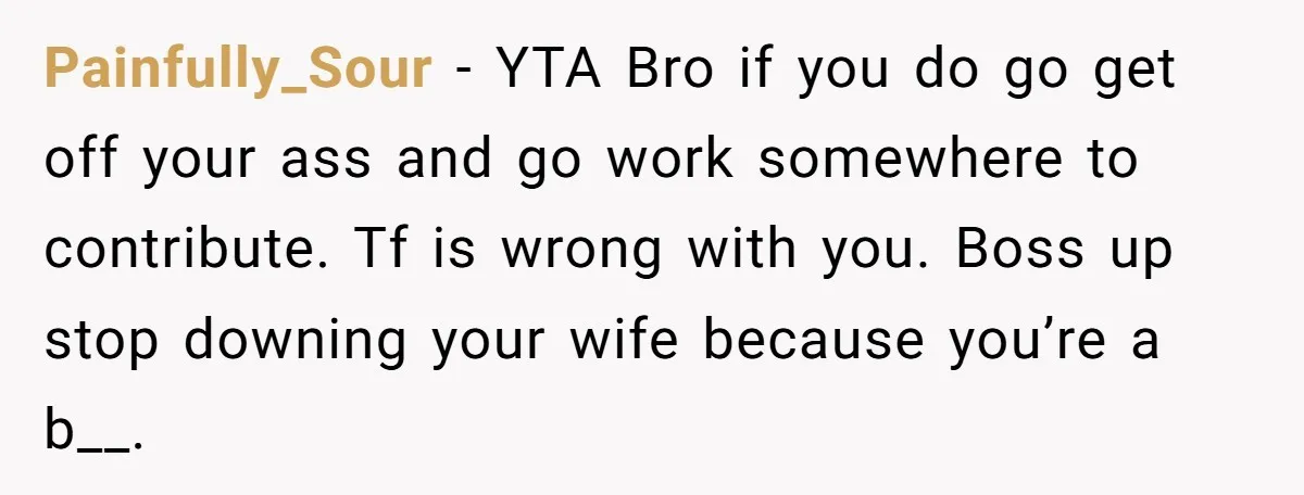 Painfully_Sour − YTA Bro if you do go get off your ass and go work somewhere to contribute. Tf is wrong with you. Boss up stop downing your wife because...