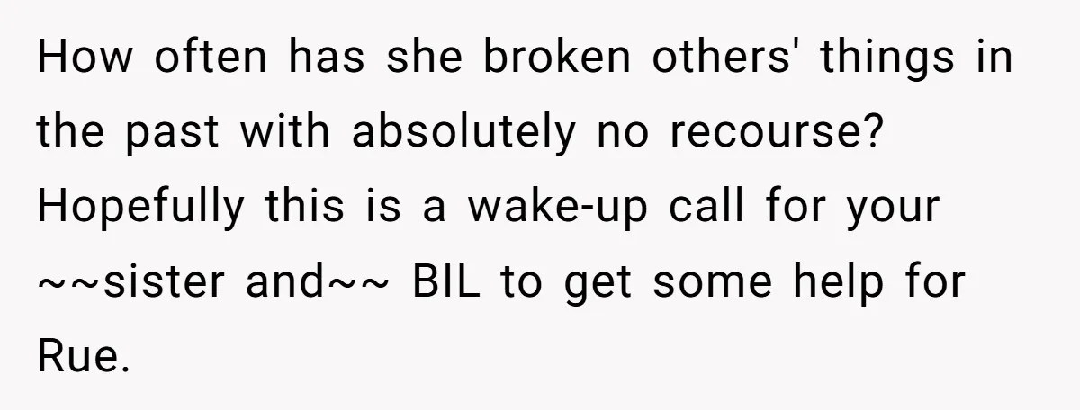 How often has she broken others' things in the past with absolutely no recourse? Hopefully this is a wake-up call for your ~~sister and~~ BIL to get some help for...