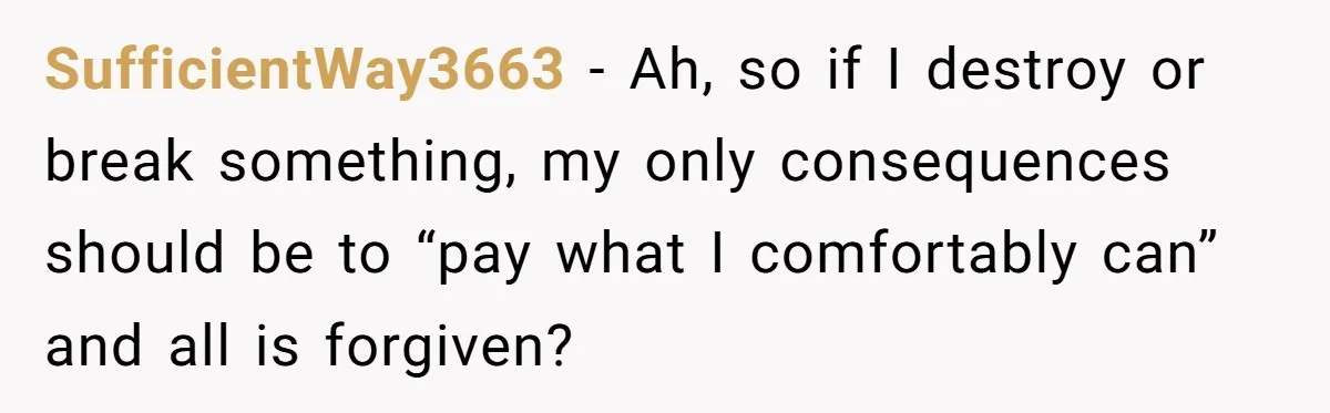 SufficientWay3663 − Ah, so if I destroy or break something, my only consequences should be to “pay what I comfortably can” and all is forgiven?
