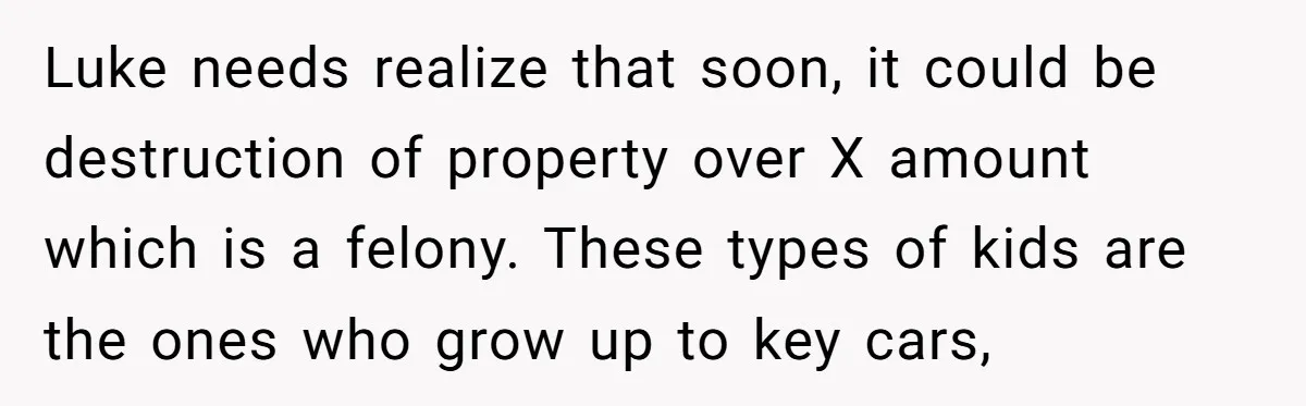 Luke needs realize that soon, it could be destruction of property over X amount which is a felony. These types of kids are the ones who grow up to key...
