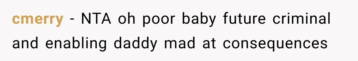 cmerry − NTA oh poor baby future criminal and enabling daddy mad at consequences