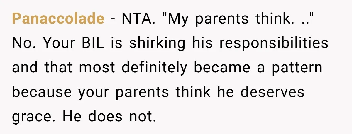 Panaccolade − NTA. "My parents think. .." No. Your BIL is shirking his responsibilities and that most definitely became a pattern because your parents think he deserves grace. He does...