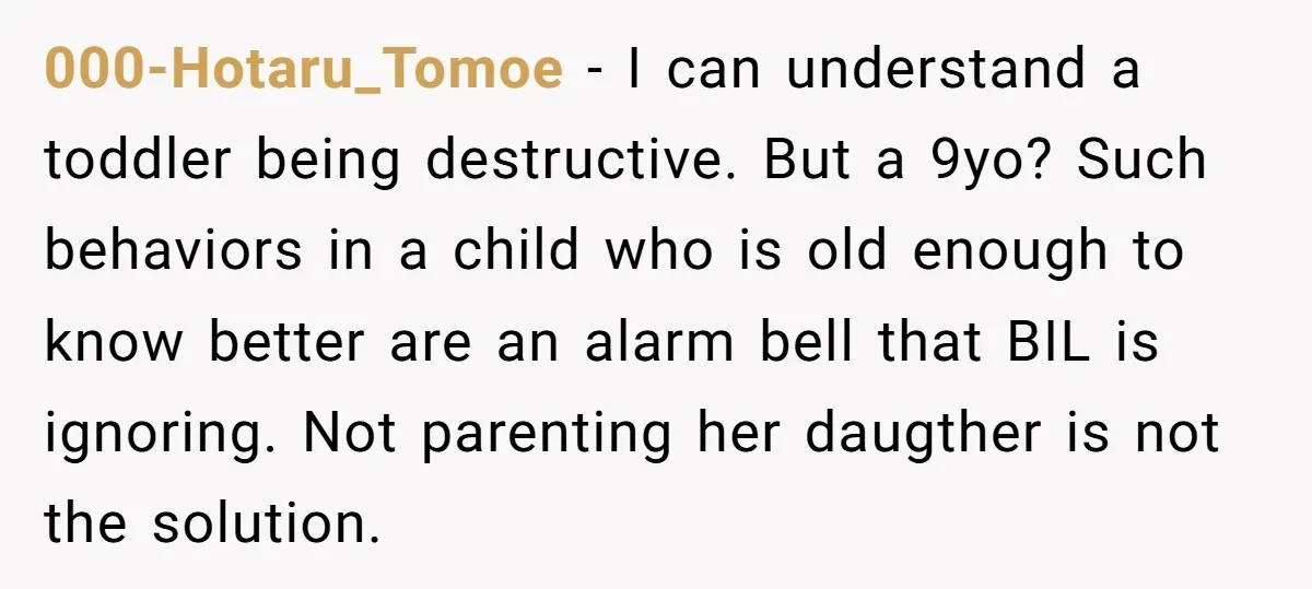 000-Hotaru_Tomoe − I can understand a toddler being destructive. But a 9yo? Such behaviors in a child who is old enough to know better are an alarm bell that BIL...