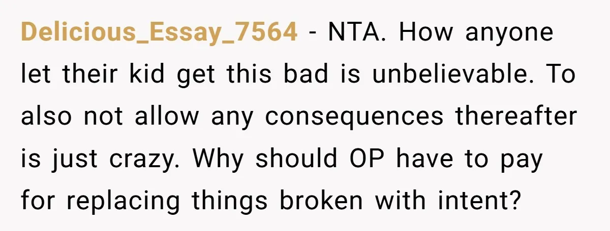 Delicious_Essay_7564 − NTA. How anyone let their kid get this bad is unbelievable. To also not allow any consequences thereafter is just crazy. Why should OP have to pay for...
