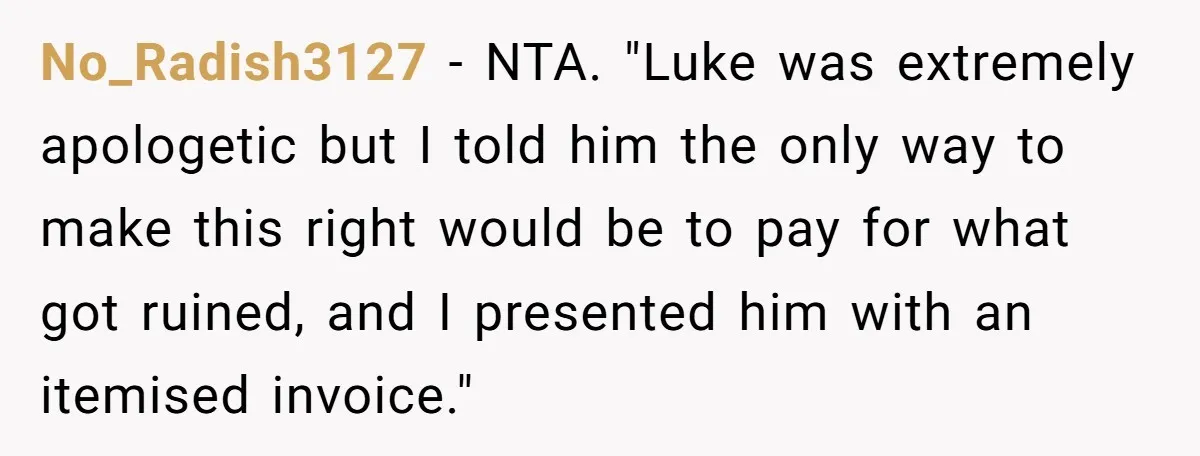 No_Radish3127 − NTA. "Luke was extremely apologetic but I told him the only way to make this right would be to pay for what got ruined, and I presented him...
