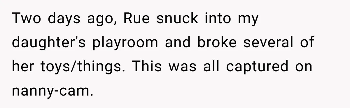 Two days ago, Rue snuck into my daughter's playroom and broke several of her toys/things. This was all captured on nanny-cam.