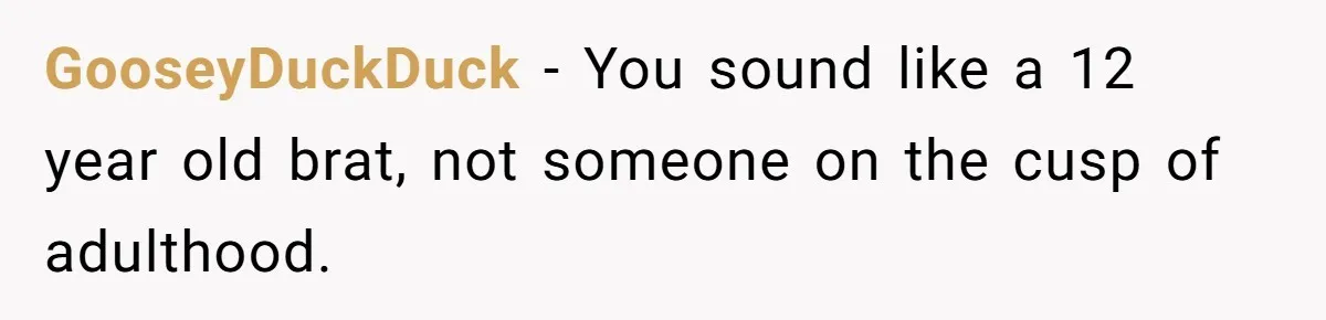 GooseyDuckDuck − You sound like a 12 year old brat, not someone on the cusp of adulthood.