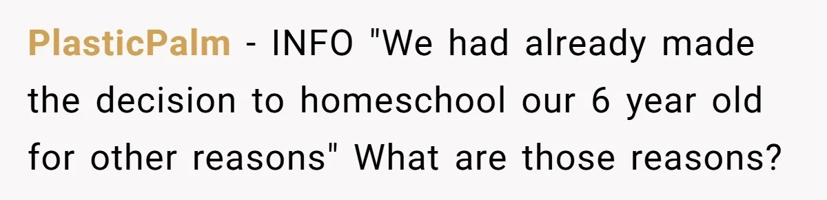 PlasticPalm − INFO "We had already made the decision to homeschool our 6 year old for other reasons" What are those reasons?