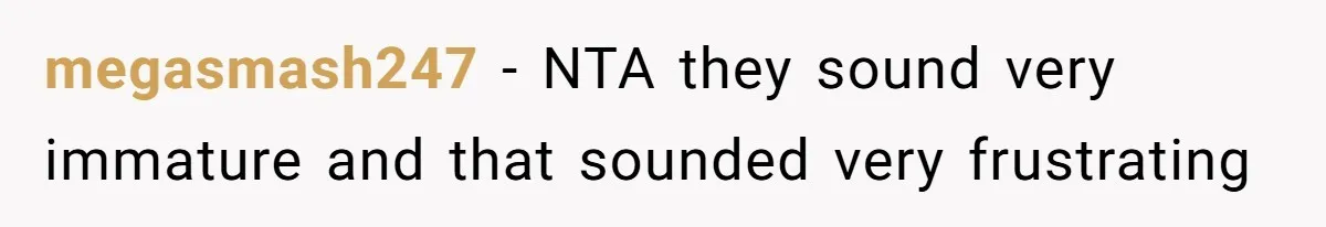 megasmash247 − NTA they sound very immature and that sounded very frustrating