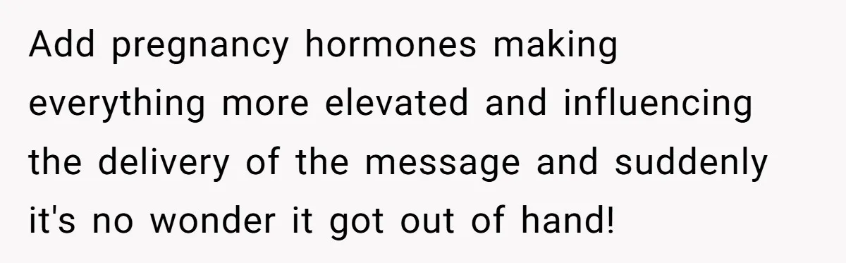 Add pregnancy hormones making everything more elevated and influencing the delivery of the message and suddenly it's no wonder it got out of hand!