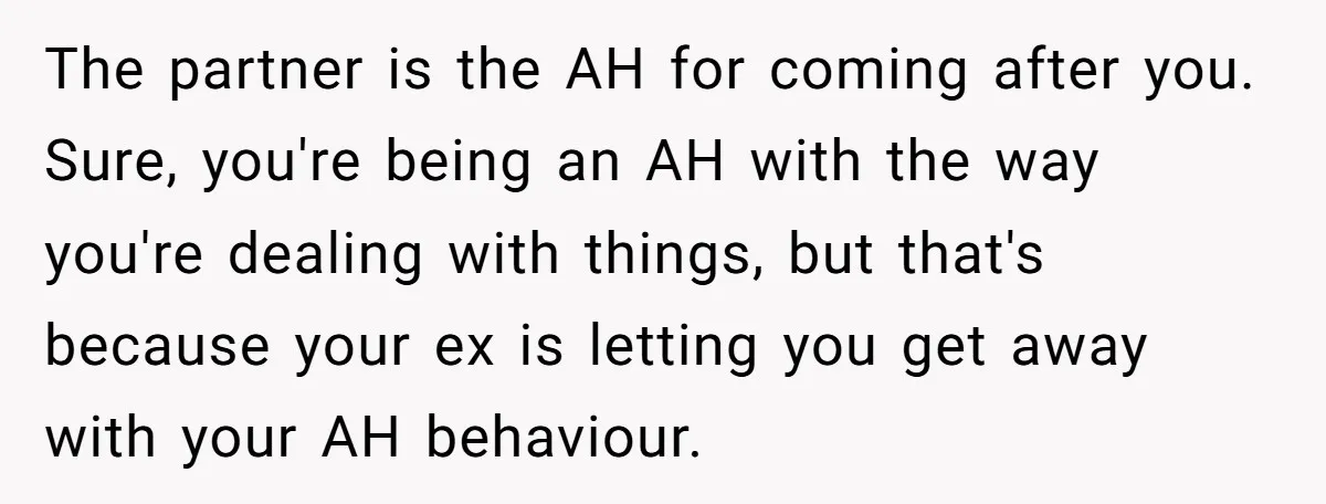 The partner is the AH for coming after you. Sure, you're being an AH with the way you're dealing with things, but that's because your ex is letting you get...