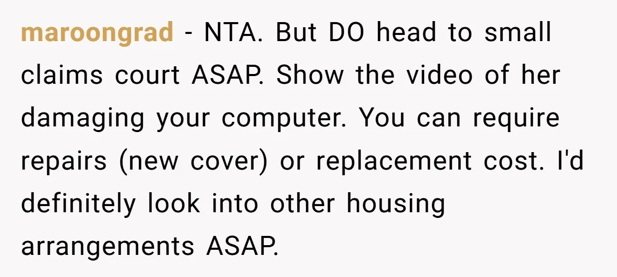 maroongrad - NTA. But DO head to small claims court ASAP. Show the video of her damaging your computer. You can require repairs (new cover) or replacement cost. I'd definitely...