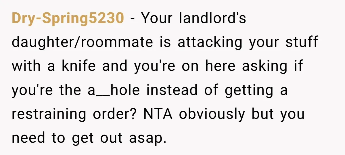 Dry-Spring5230 - Your landlord's daughter/roommate is attacking your stuff with a knife and you're on here asking if you're the a__hole instead of getting a restraining order? NTA obviously but...