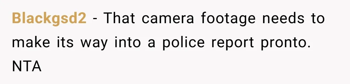 Blackgsd2 - That camera footage needs to make its way into a police report pronto. NTA