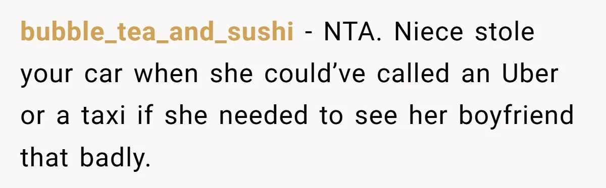 bubble_tea_and_sushi − NTA. Niece stole your car when she could’ve called an Uber or a taxi if she needed to see her boyfriend that badly.