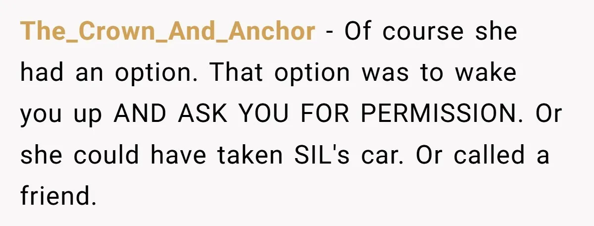 The_Crown_And_Anchor − Of course she had an option. That option was to wake you up AND ASK YOU FOR PERMISSION. Or she could have taken SIL's car. Or called a...
