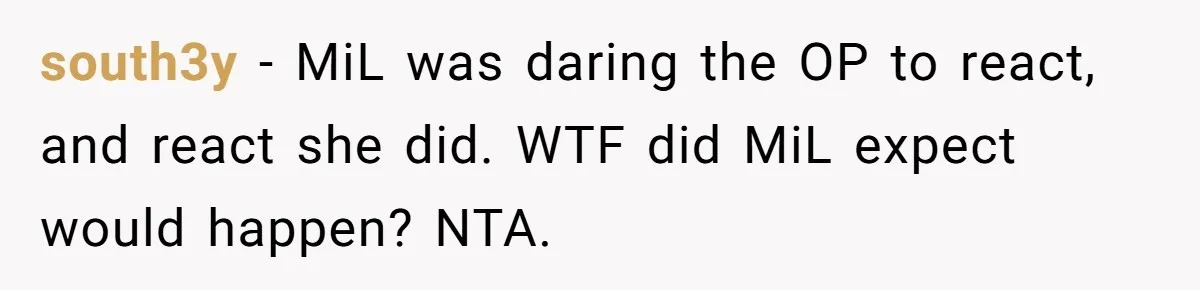 south3y - MiL was daring the OP to react, and react she did. WTF did MiL expect would happen? NTA.