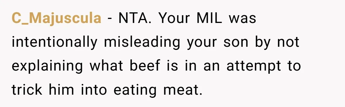 C_Majuscula - NTA. Your MIL was intentionally misleading your son by not explaining what beef is in an attempt to trick him into eating meat.