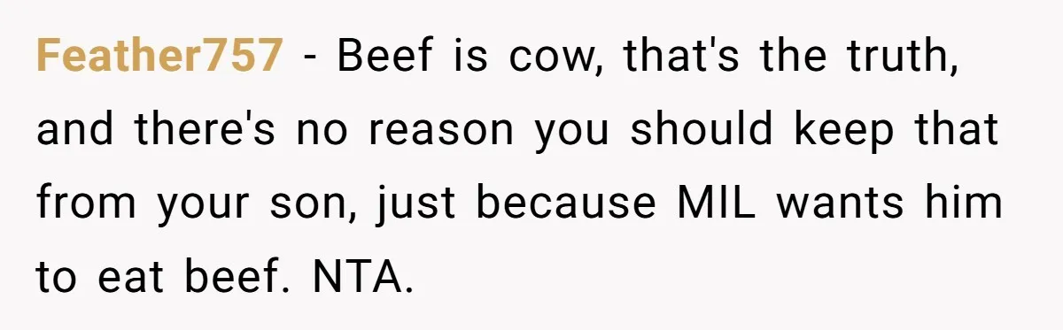 Feather757 - Beef is cow, that's the truth, and there's no reason you should keep that from your son, just because MIL wants him to eat beef. NTA.