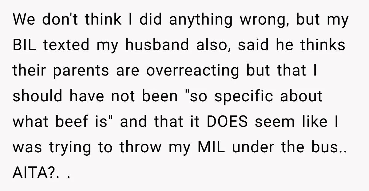We don't think I did anything wrong, but my BIL texted my husband also, said he thinks their parents are overreacting but that I should have not been "so specific...